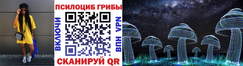 Псилоцибиновые грибы Magic Shrooms  мега как войти  Суоярви  закладка 